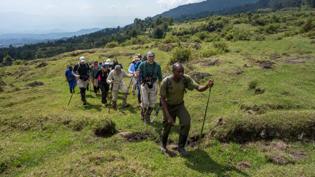 Hiking mountain Bisoke in Rwanda